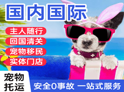 山南隆子航空托运国际宠物托运 【国